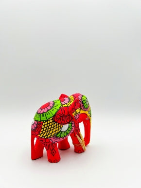 Colorful Companion
