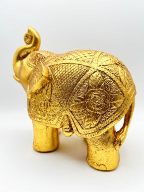Radiant Black Elephant