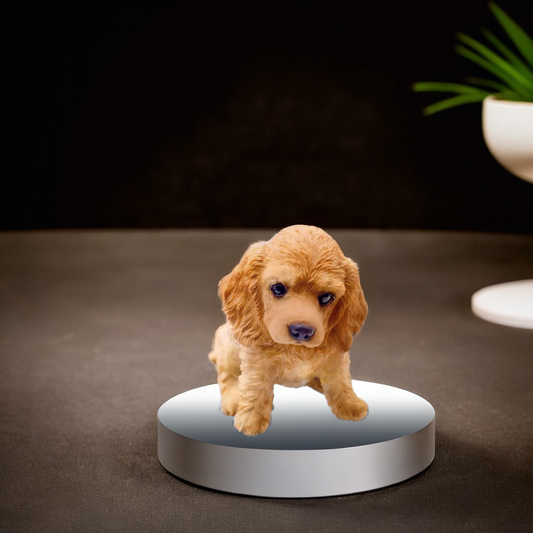 cocker spaniel puppy