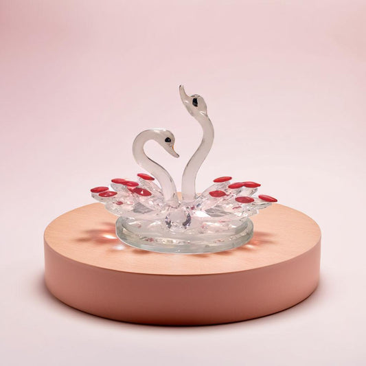 Class swan