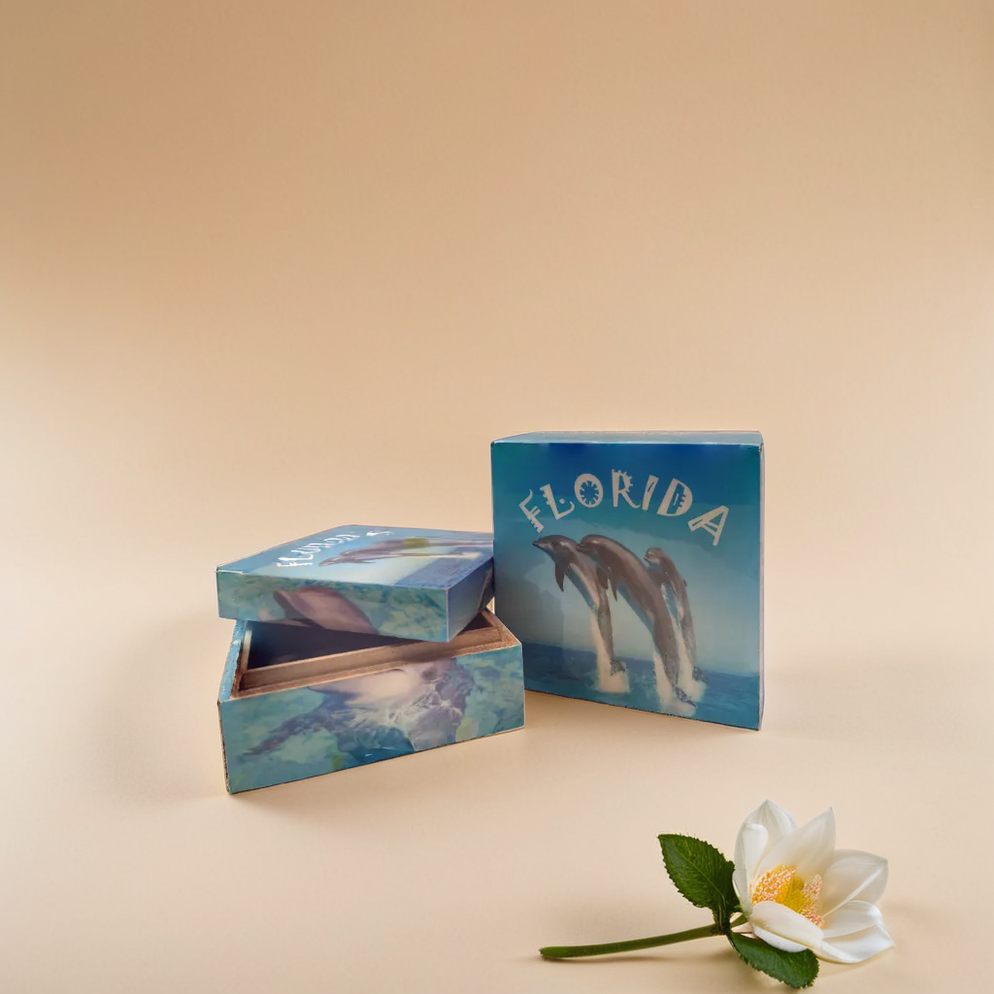 dolphin jewelry box